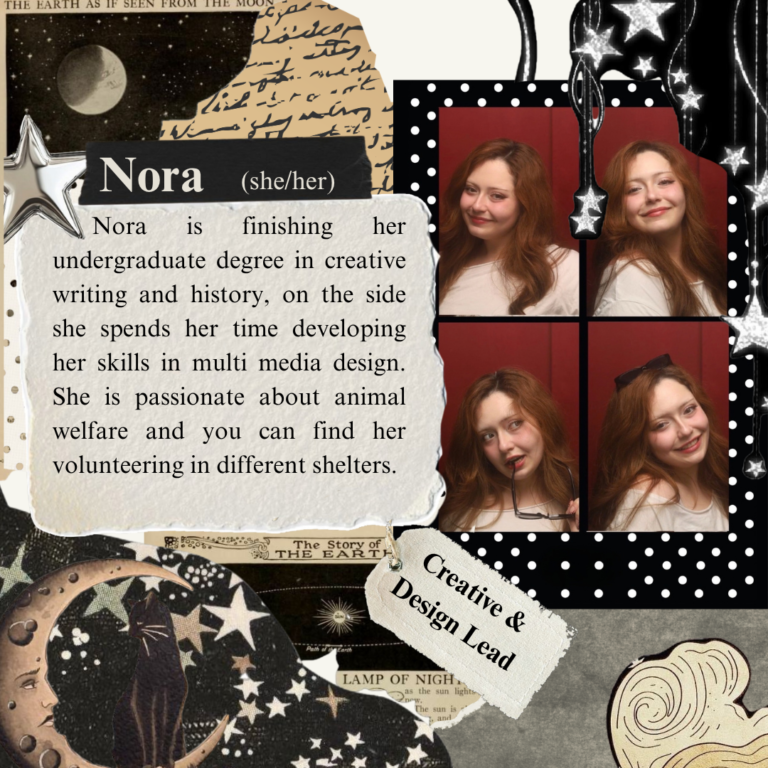 About about us post nora